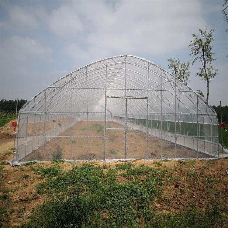 科技赋能农业 三禾玻璃温室智能蔬菜种植基地的现代化实践