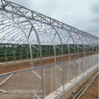 双膜骨架温室大棚 民泰引领现代设施农业，助力蔬菜花卉全国种植