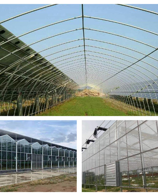 温室钢管大棚 现代锦鲤养殖的智能化温控空间