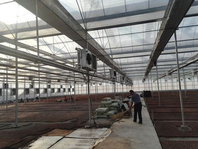 蔬菜和花卉温室大棚常见采暖系统详解