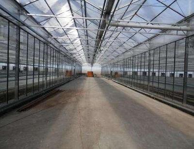 筑安金温室大棚 科技助力上海都市农业新篇章