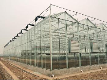 泰兴恒温智能温室大棚 现代育苗与节能连栋温室的创新实践