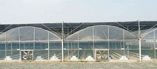 气温如何影响农业生产？温室与阴阳棚的应对之道