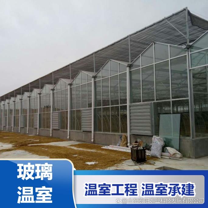 山西育苗温室大棚 农业发展的新希望之地